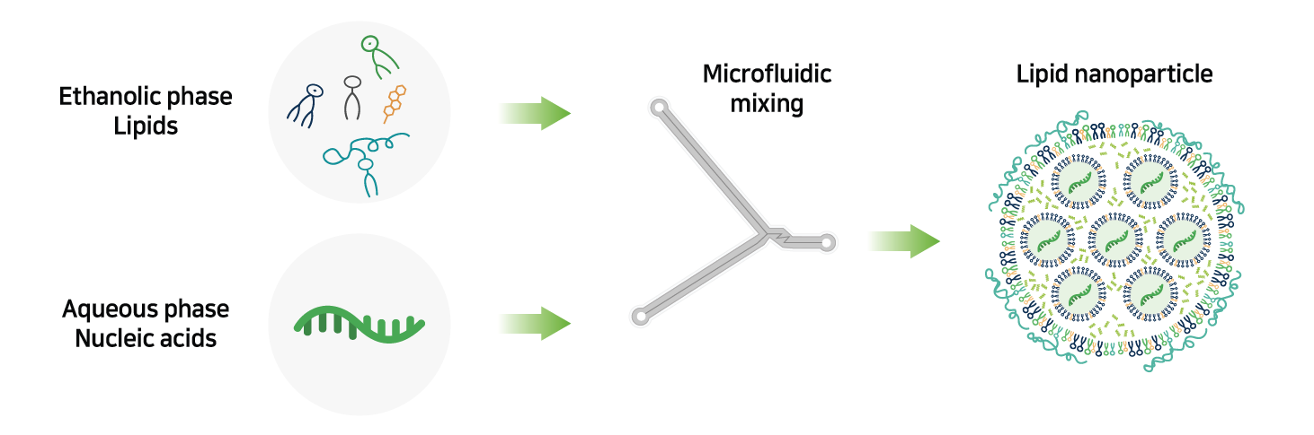 Rapid and Effective Microfluidic Mixing Technology